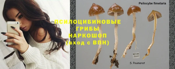 альфа пвп Магас