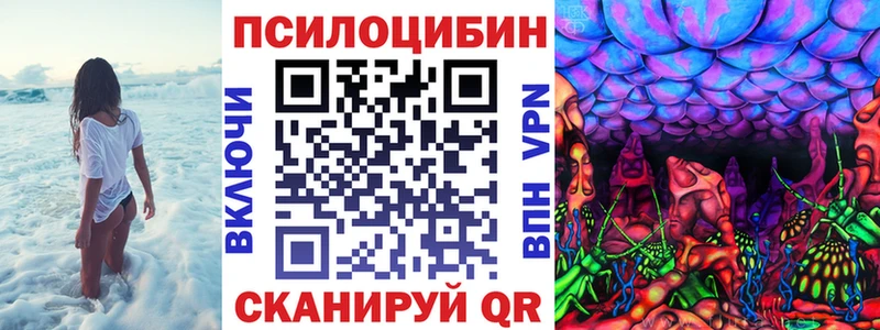 ОМГ ОМГ ТОР  Тында  Галлюциногенные грибы ЛСД 