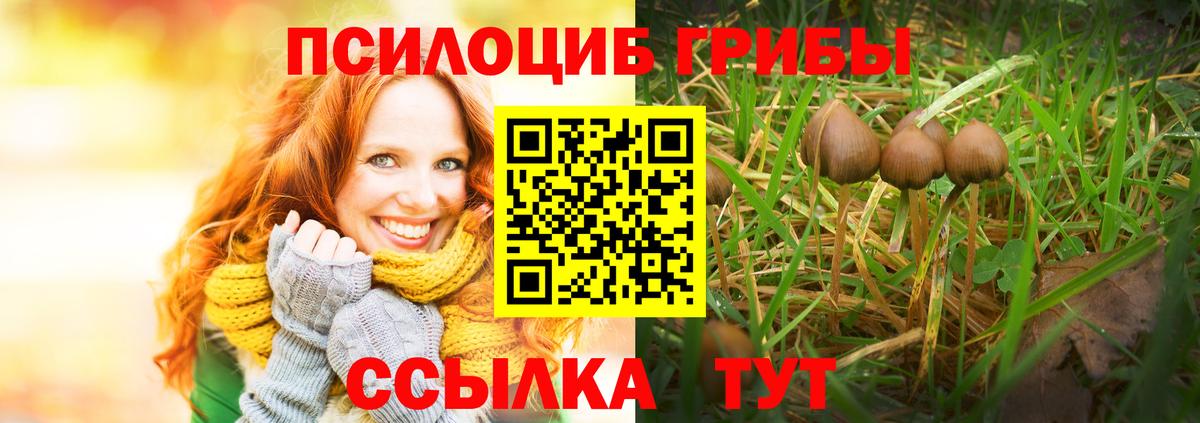Галлюциногенные грибы Magic Shrooms  Псилоцибиновые грибы прущие грибы  Тында 