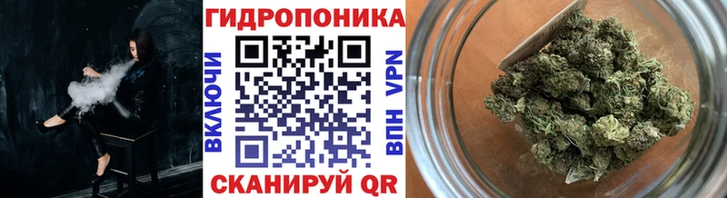 Бошки Шишки Bruce Banner  сколько стоит  Тында 